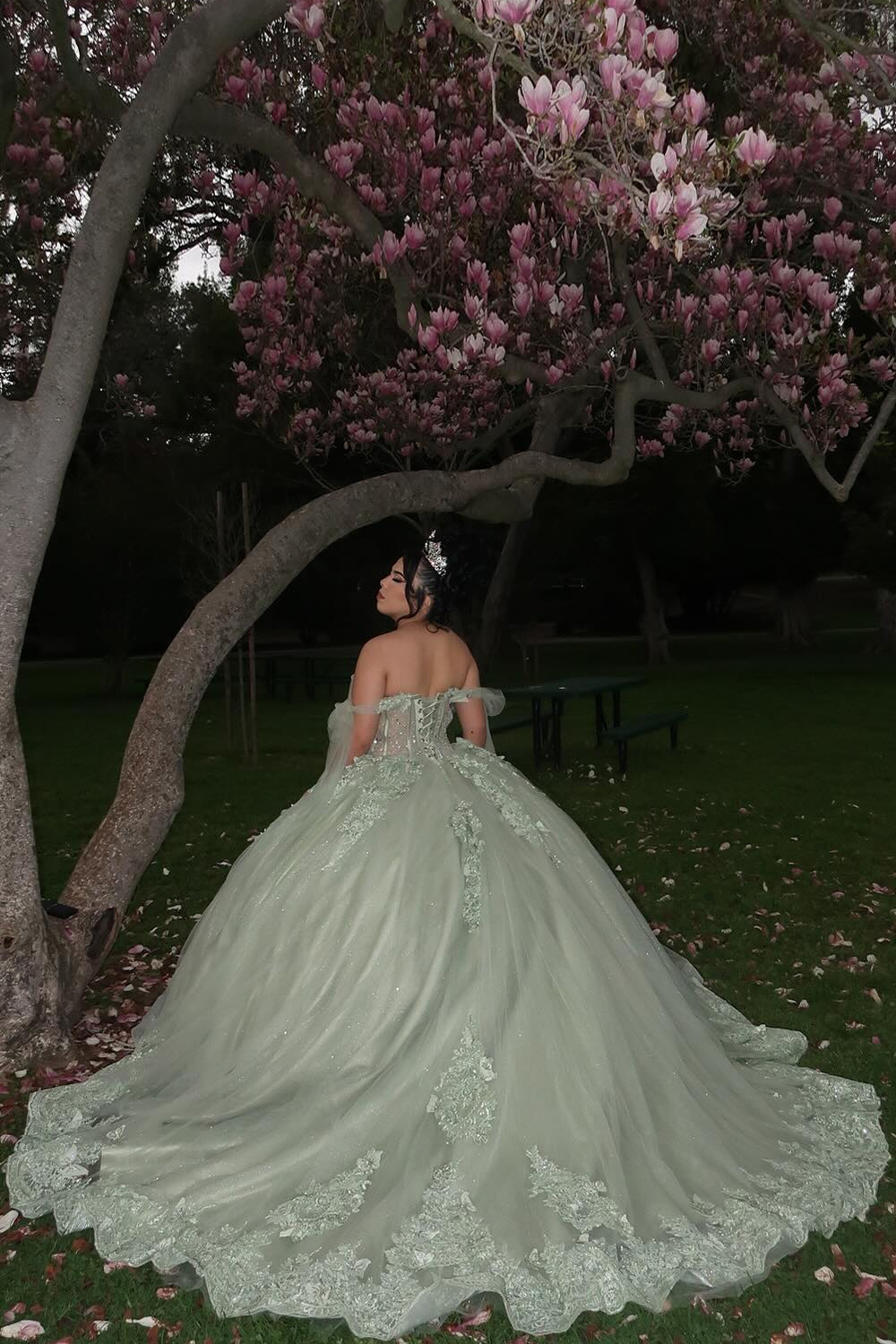 Sparkly Grey Green Tulle Off the Shoulder Applique Ball Gown Quinceanera Dress