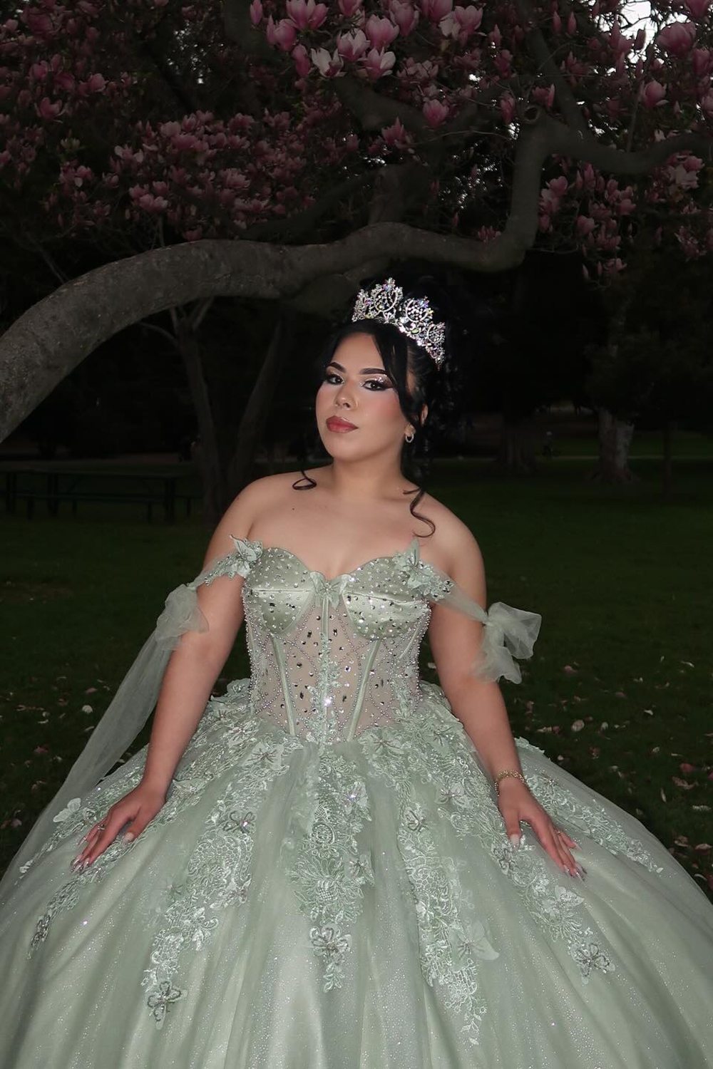 Sparkly Grey Green Tulle Off the Shoulder Applique Ball Gown Quinceanera Dress