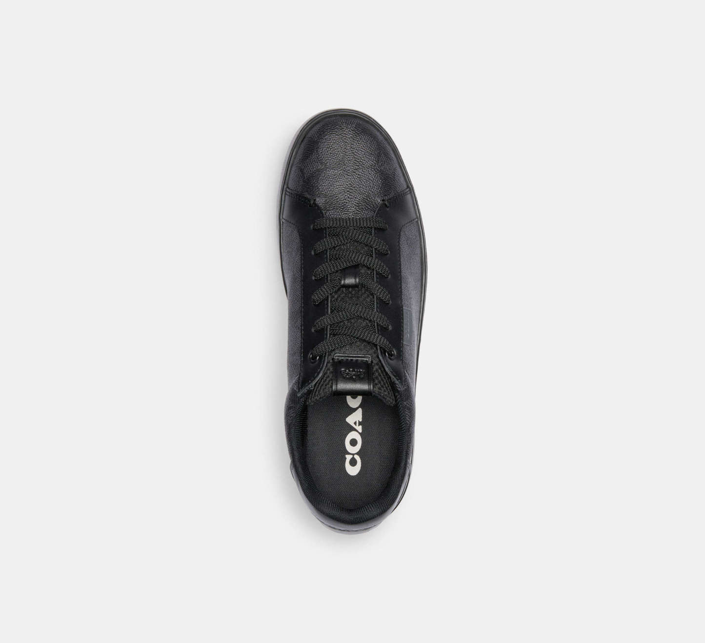 Lowline Low Top Sneaker In Signature Canvas