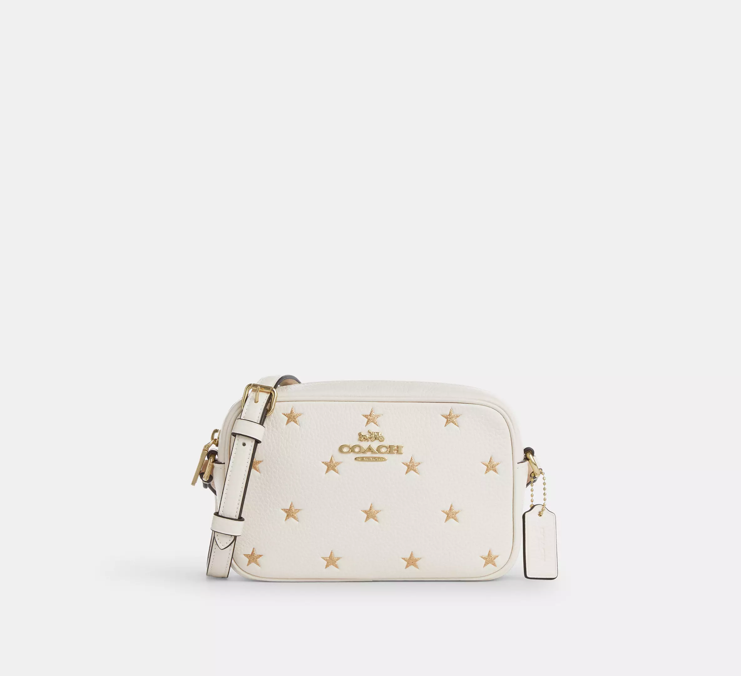 Mini Camera Bag In Signature Canvas