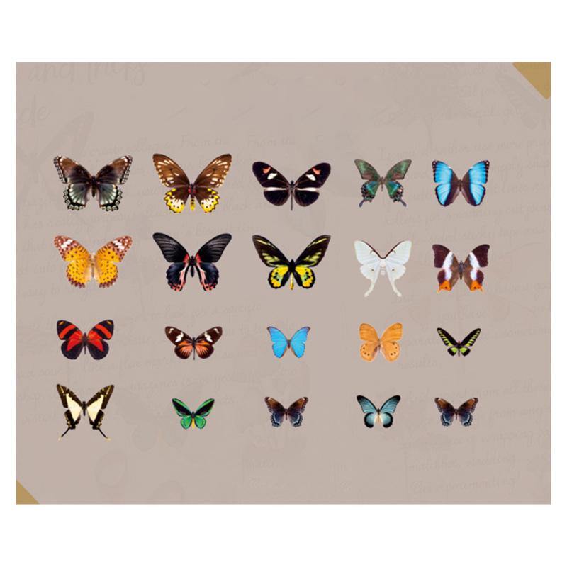 <8 Types>Multiple Beautiful Butterfly PET Decor Stickers (40pcs) - Inlovearts