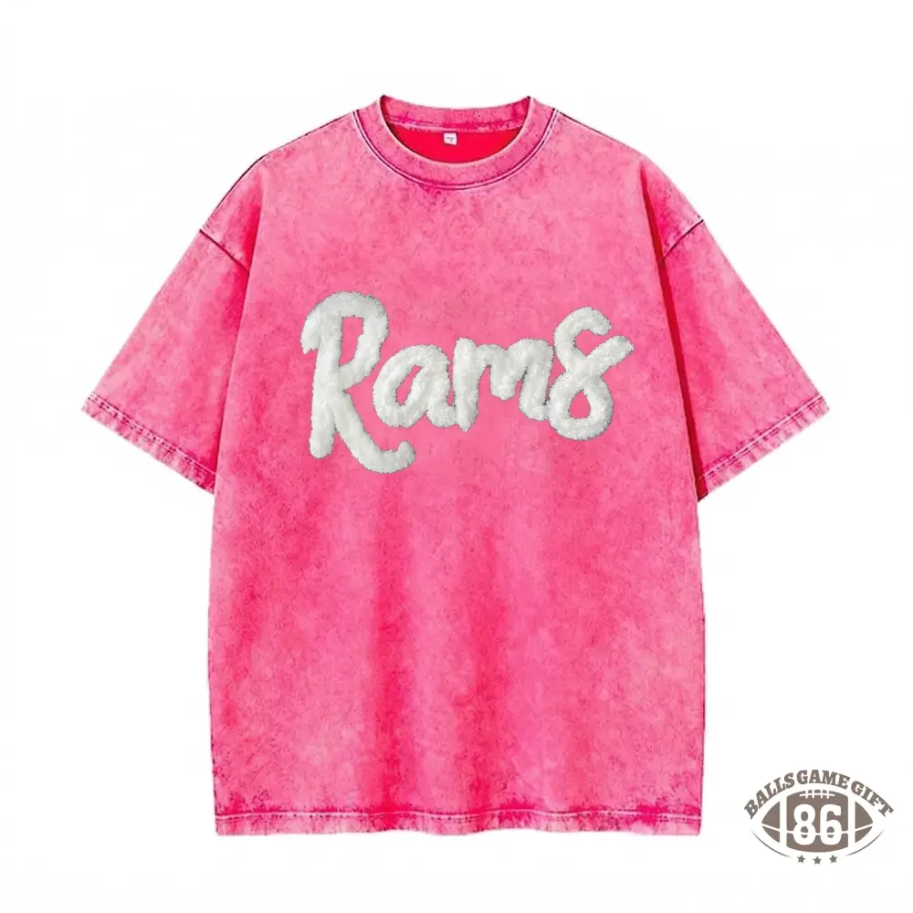Custom College Chenille Team Name Embroidered Washed T-shirt Gifts for Sports Fans