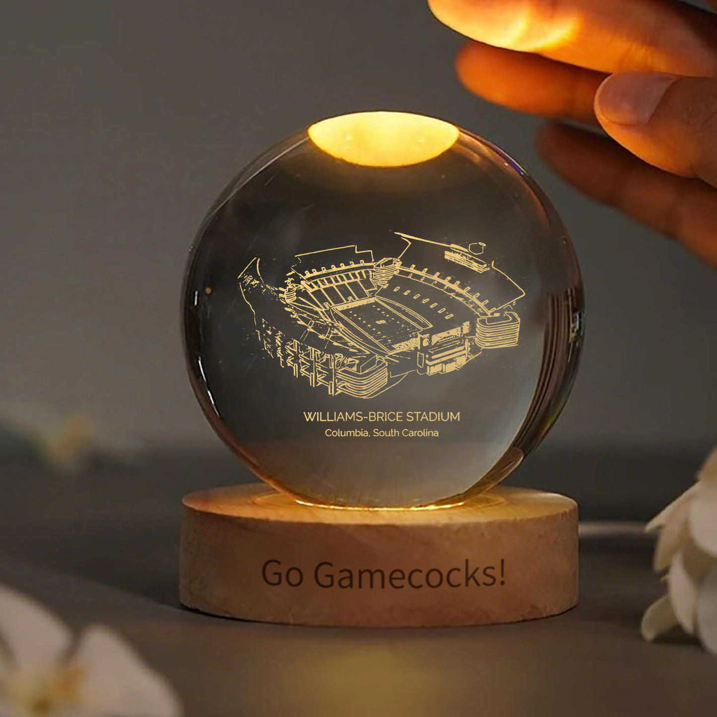 Williams-Brice Stadium 3D Spherical Crystal Ball Lamp