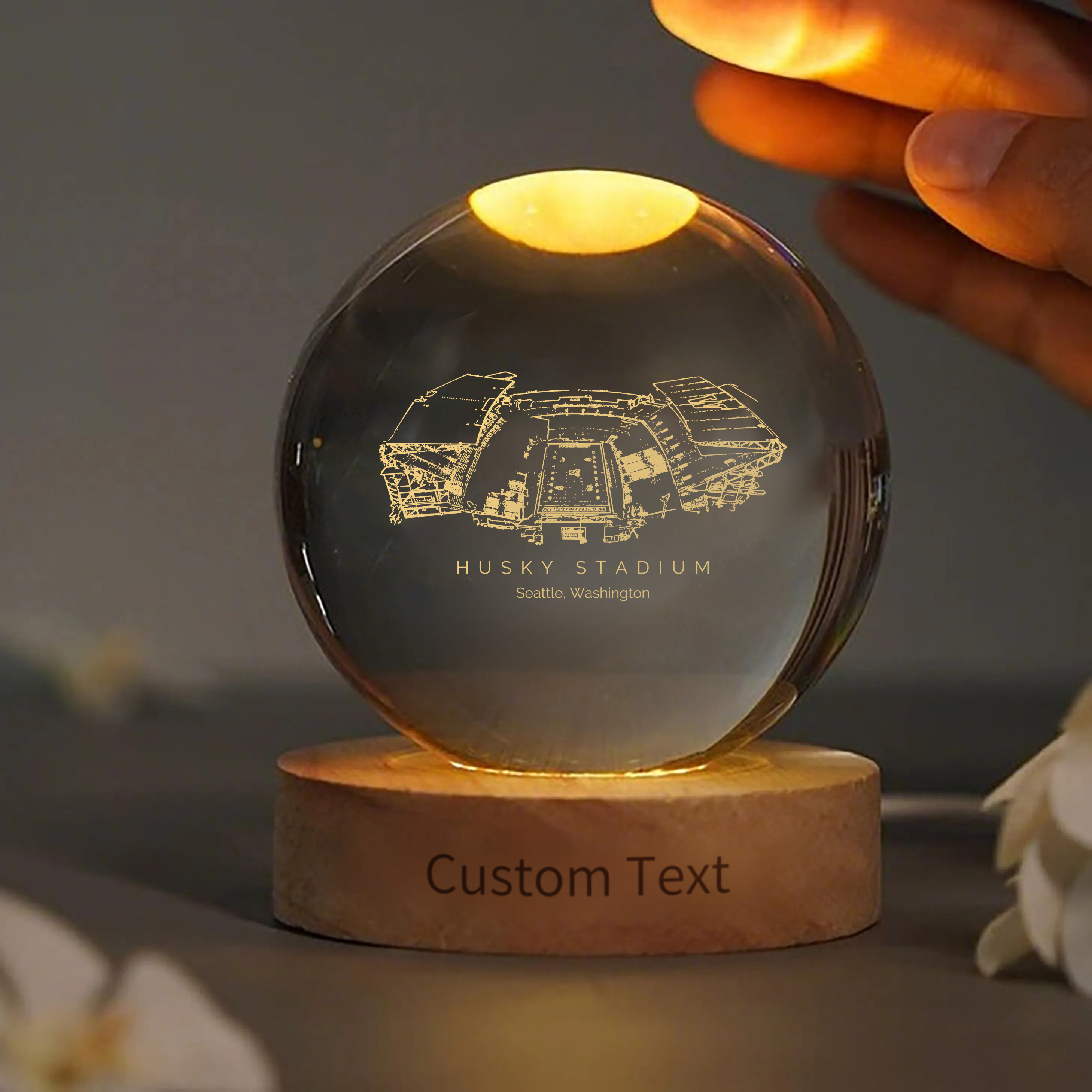 Husky Stadium 3D Spherical Crystal Ball Lamp