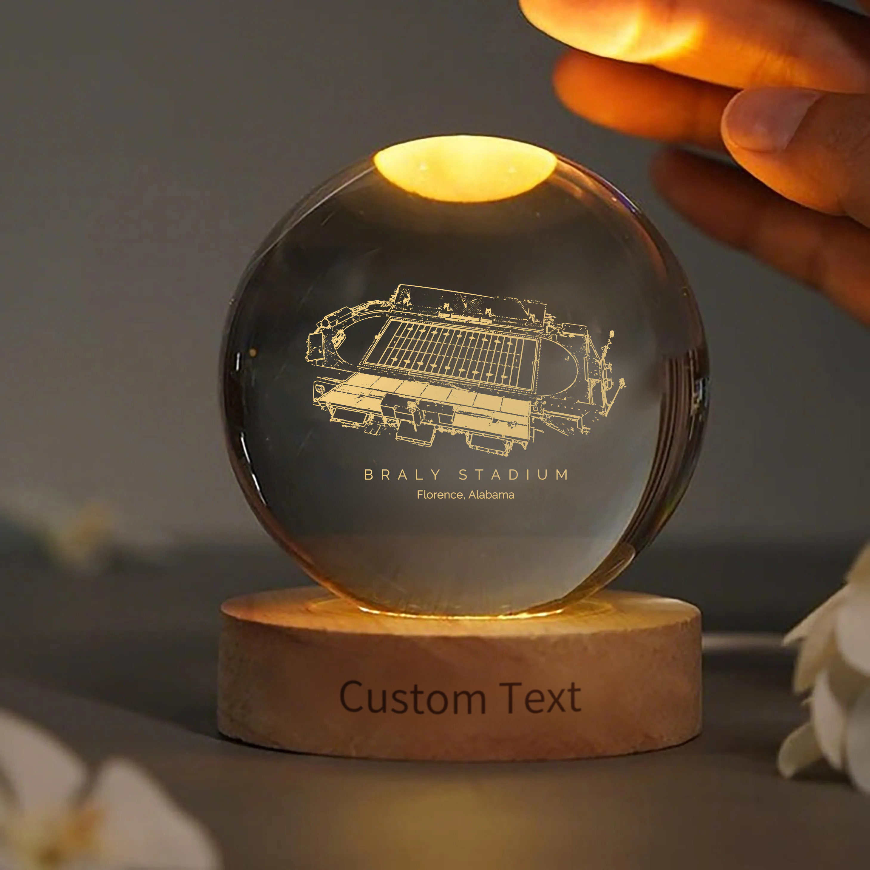 Braly Stadium 3D Spherical Crystal Ball Lamp
