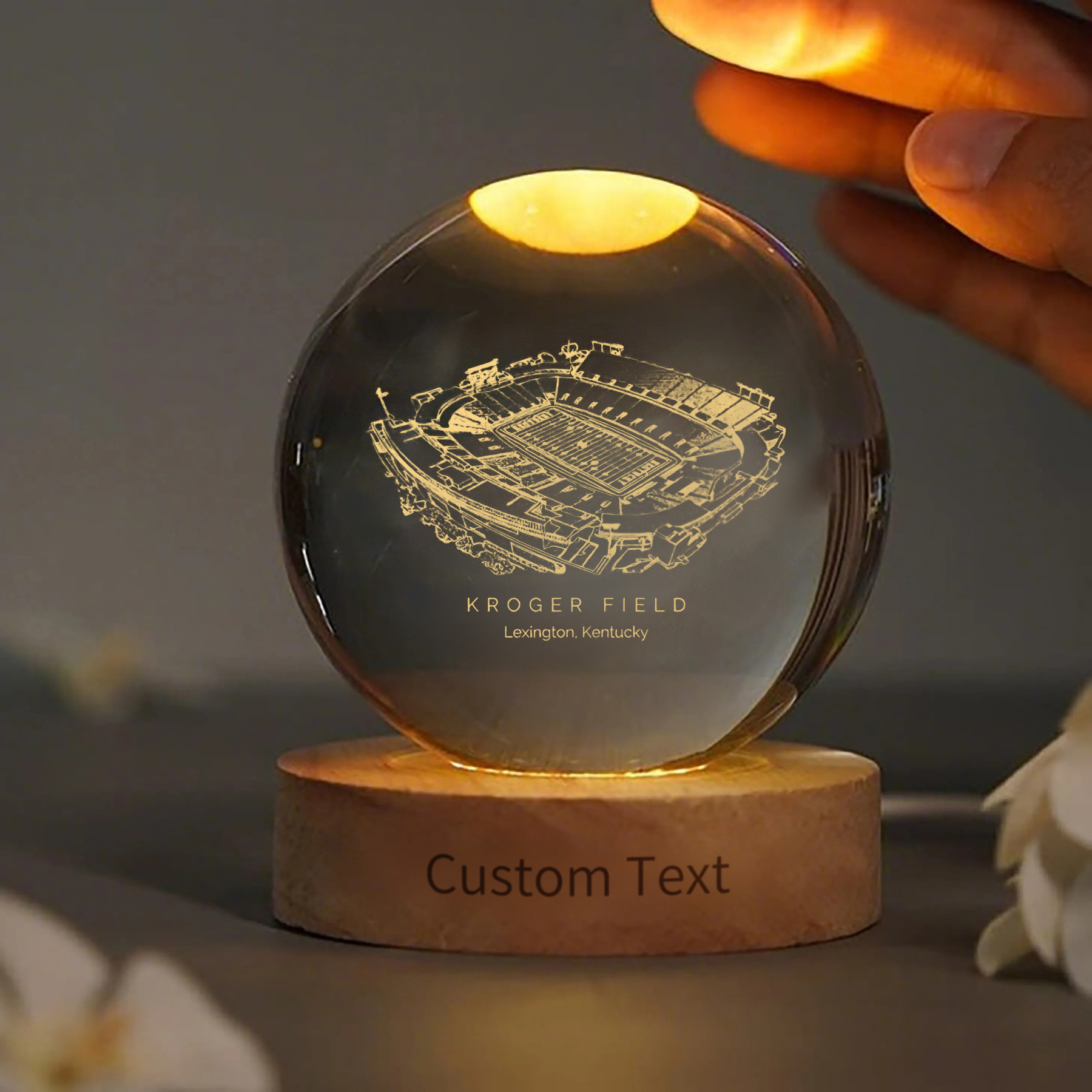 Kroger Field 3D Spherical Crystal Ball Lamp