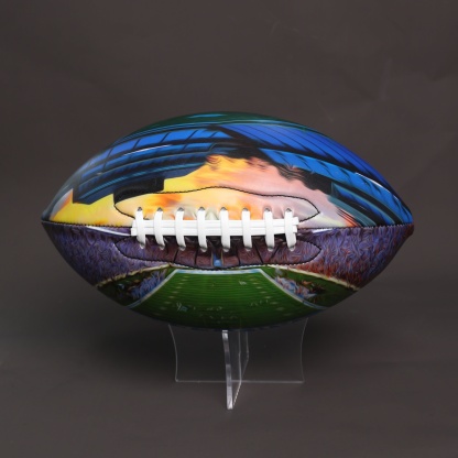 Kenan Memorial Stadium Football University Series