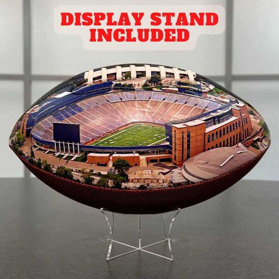 Michigan Stadium Football University Series