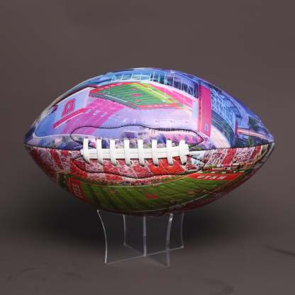 Rice-Eccles Stadium Football University Series