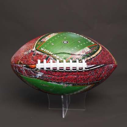 Sanford Stadium Football University Series