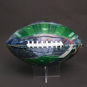 Spartan Stadium Football University Series