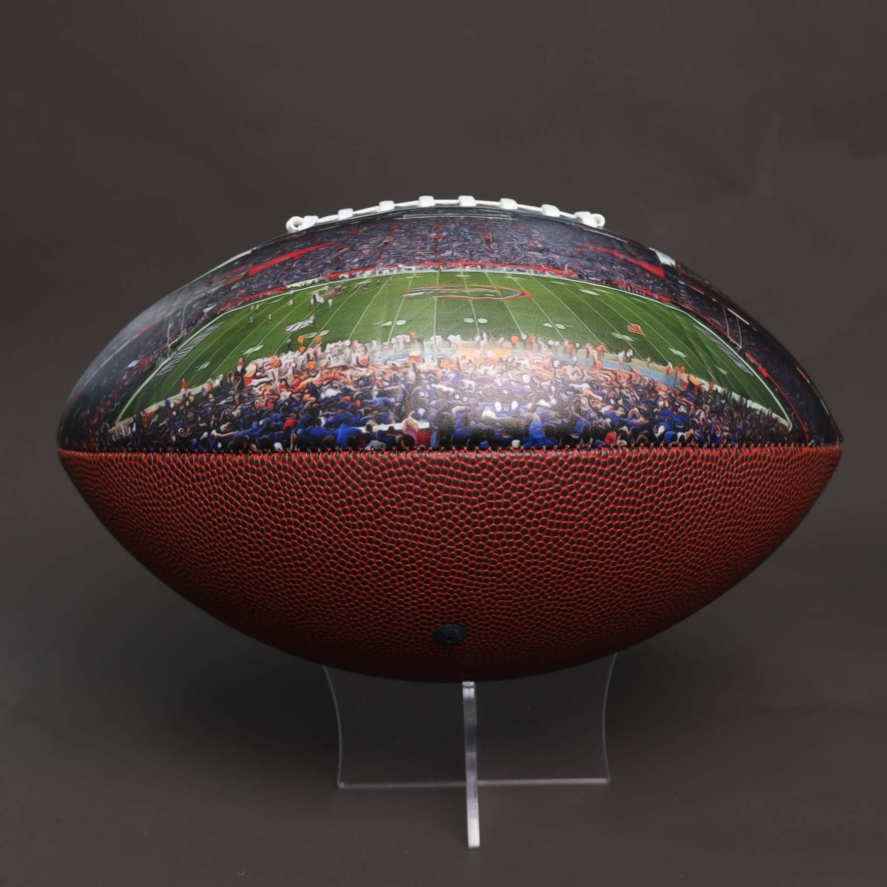 Ben Hill Griffin Stadium Football University Series(2022)