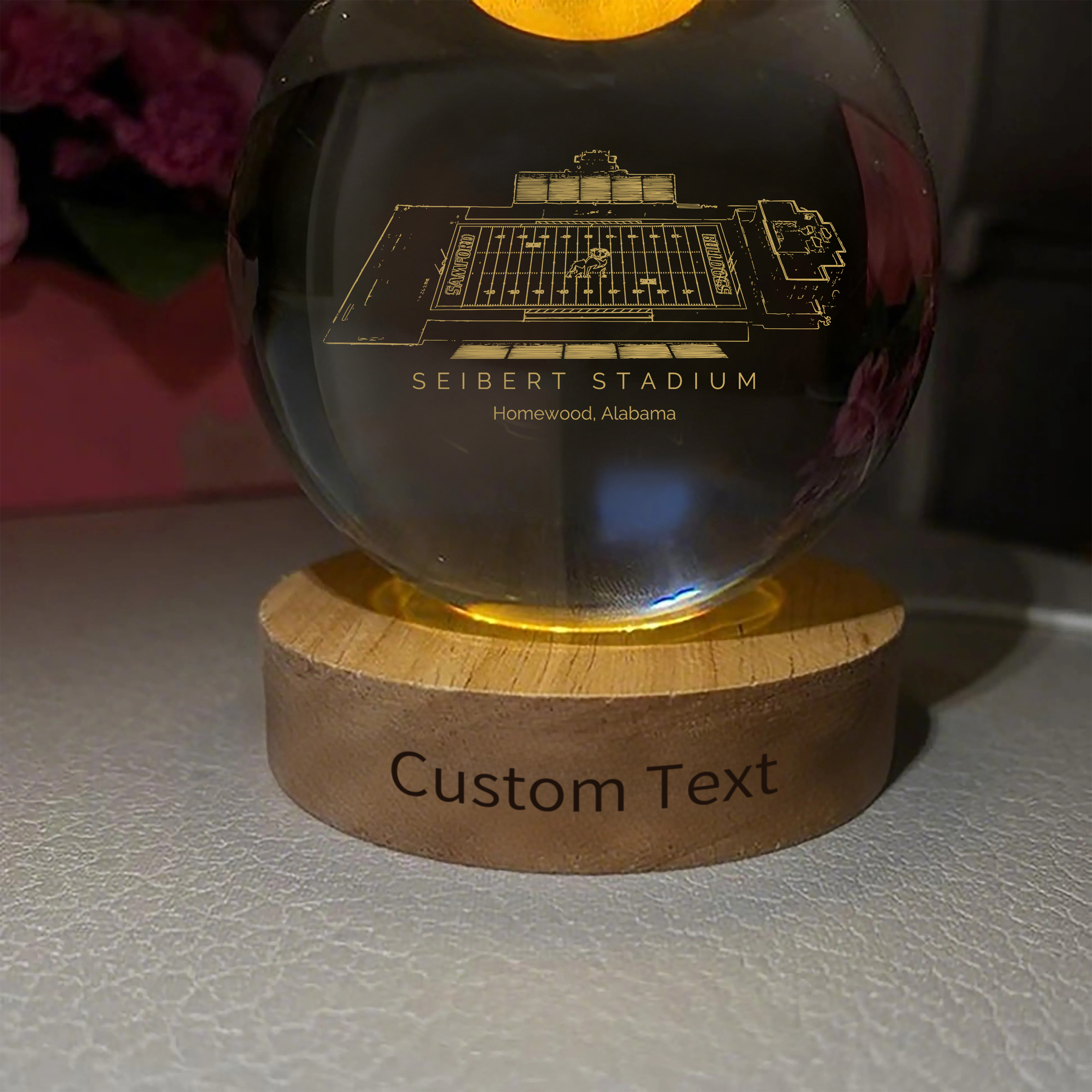 Seibert Stadium 3D Spherical Crystal Ball Lamp