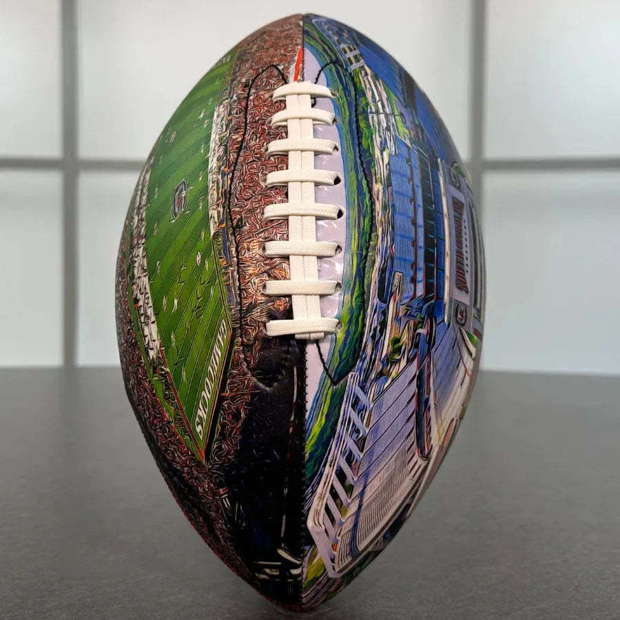 Williams–Brice Stadium University Series (New)