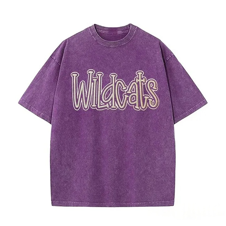 Personalized College Team Double 3D Puff School Mascot Embroidered Washed T-Shirt