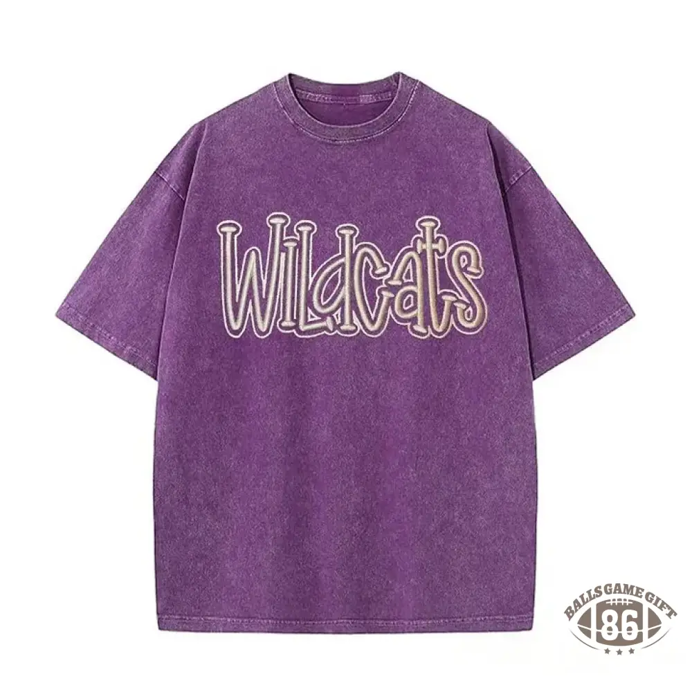 Personalized College Team Double 3D Puff School Mascot Embroidered Washed T-Shirt