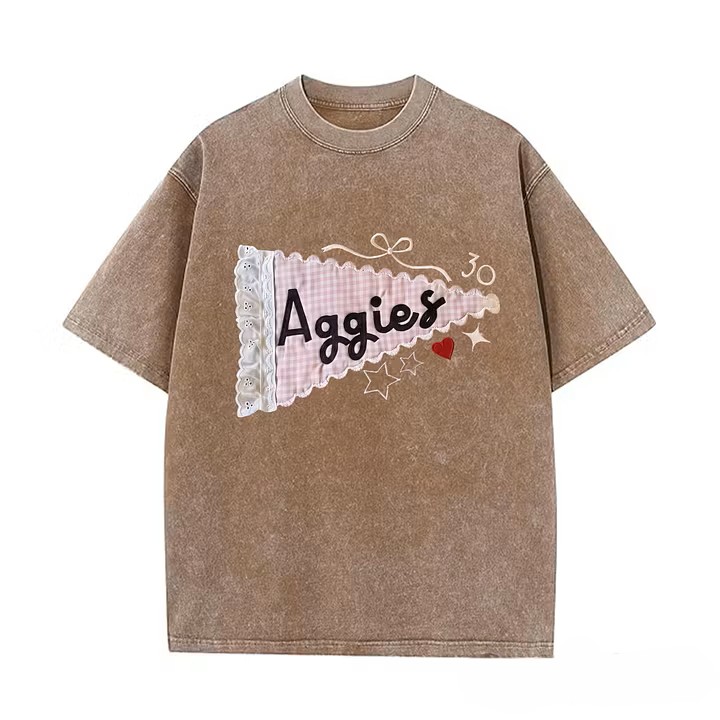 Custom Mascot & Team Spirit Washed Tee with Lace Pennant Applique ✨