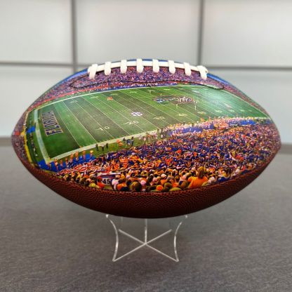 Ben Hill Griffin Stadium Football University Series（2024）