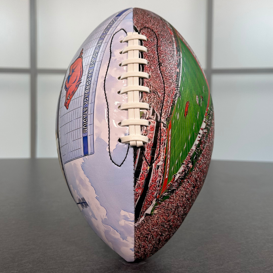 Donald W. Reynolds Razorback Stadium Football University Series (2024)