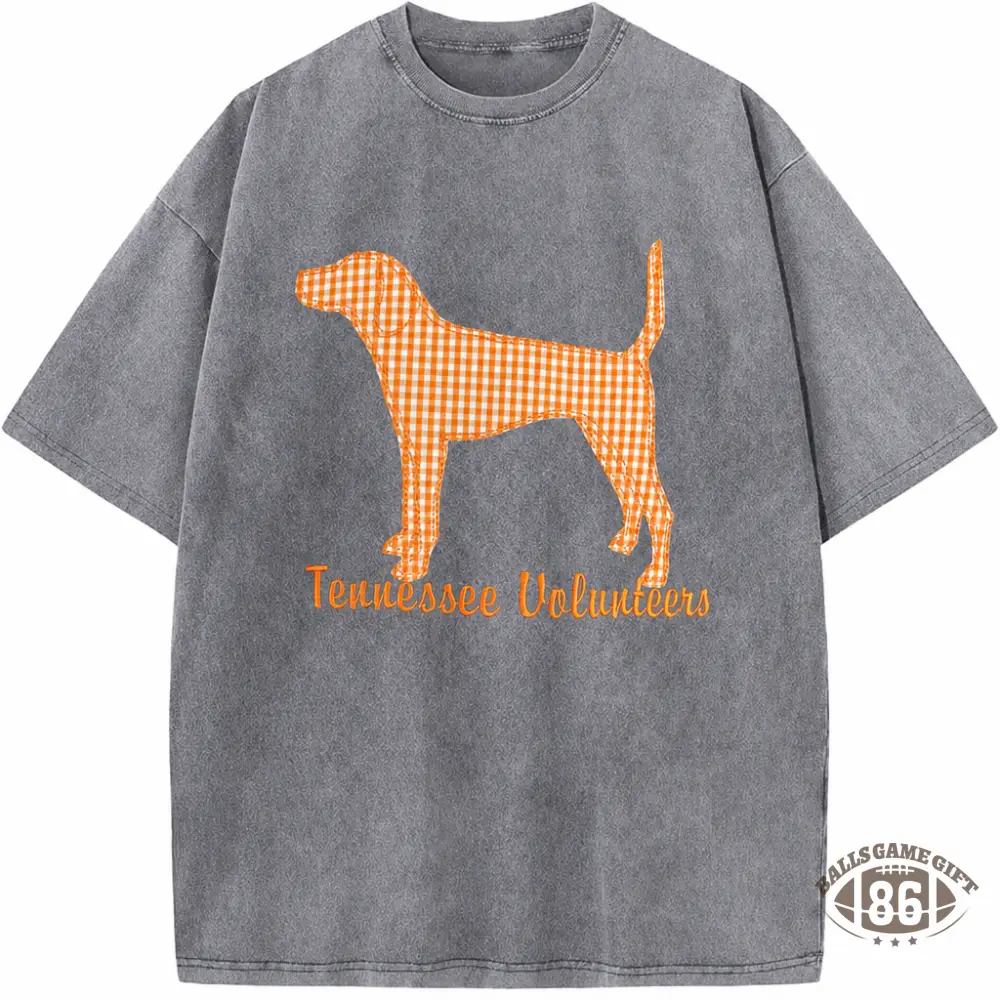 Personalized Appliqué Embroidered T-shirt Crewneck, Game Day Pullover, Vintage College Style
