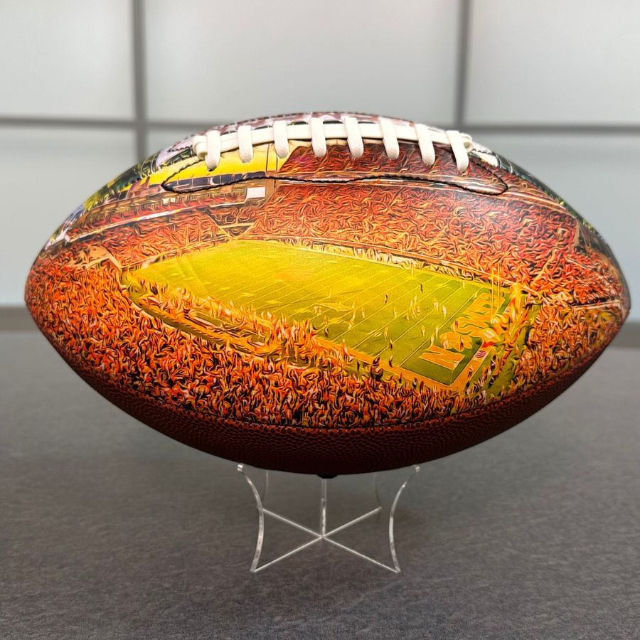 Memorial Stadium (Clemson) Football University Series (NEW)