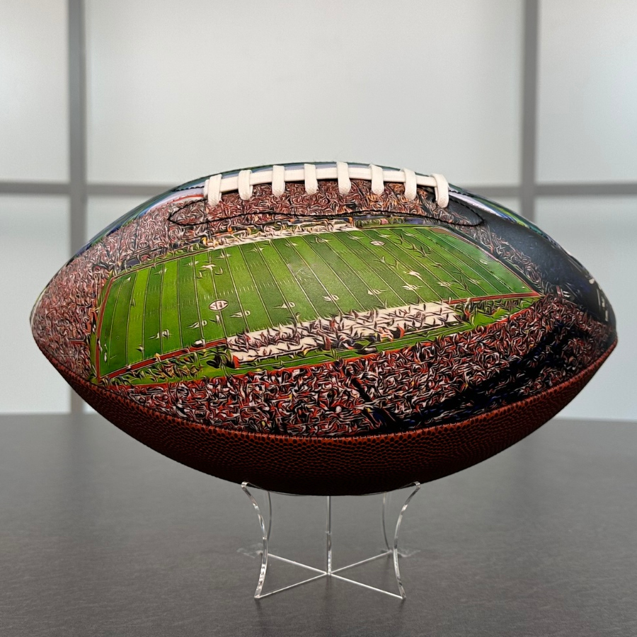 Williams–Brice Stadium University Series （New）