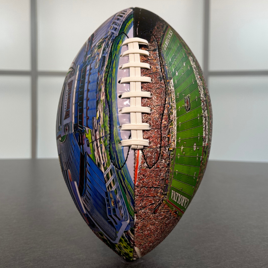 Williams–Brice Stadium University Series (New)