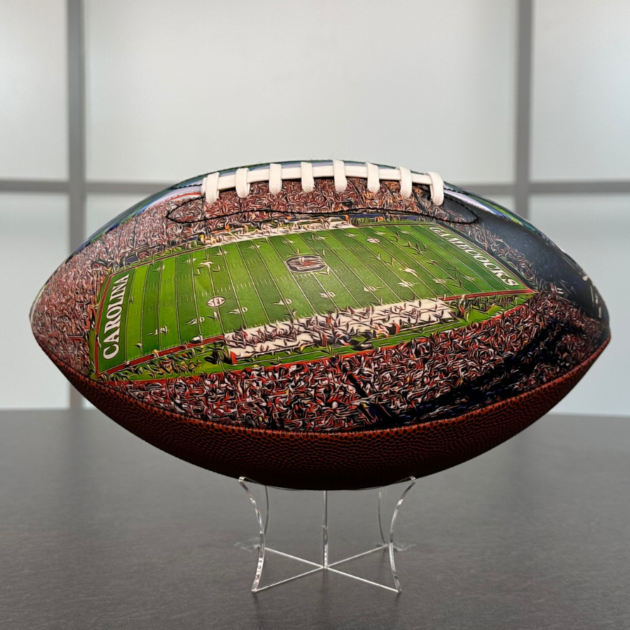 Williams–Brice Stadium University Series (New)