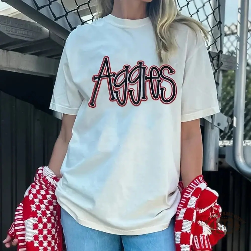 Personalized College Team Double 3D Puff School Mascot Embroidered Washed T-Shirt