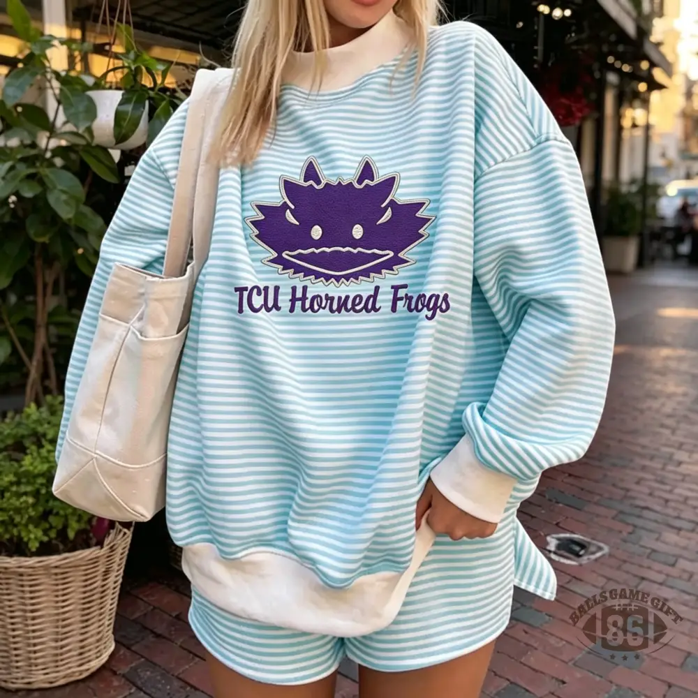 Animal Embroidered Striped Two-Piece Set, Oversized Color Block Sweatshirt & Shorts