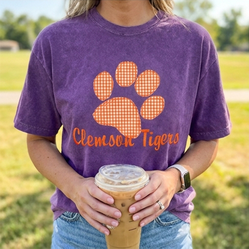 Personalized Appliqué Embroidered T-shirt Crewneck, Game Day Pullover, Vintage College Style