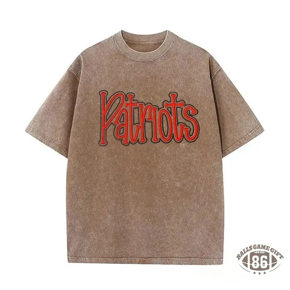 Personalized College Team Double 3D Puff School Mascot Embroidered Washed T-Shirt