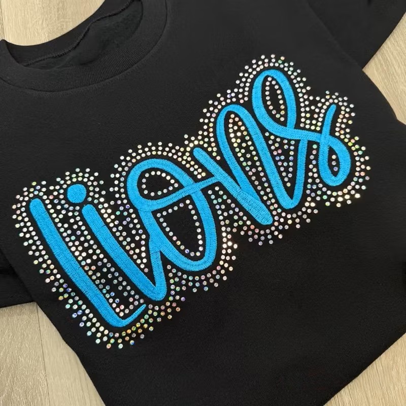 Custom Team Name Lions Embroidered & Bling Sweatshirt T-shirt Hoodie