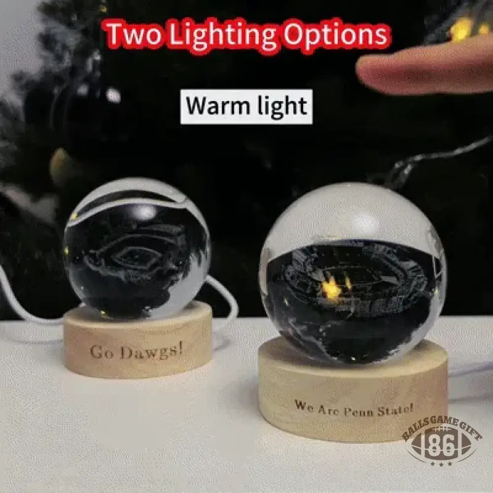Custom Stadium 3D Spherical Crystal Ball Lamp