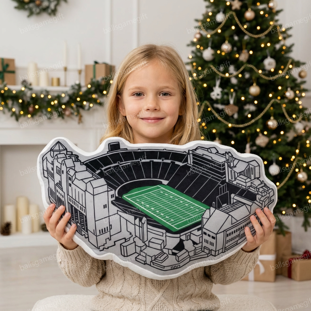 Folsom Field Plush Pillow