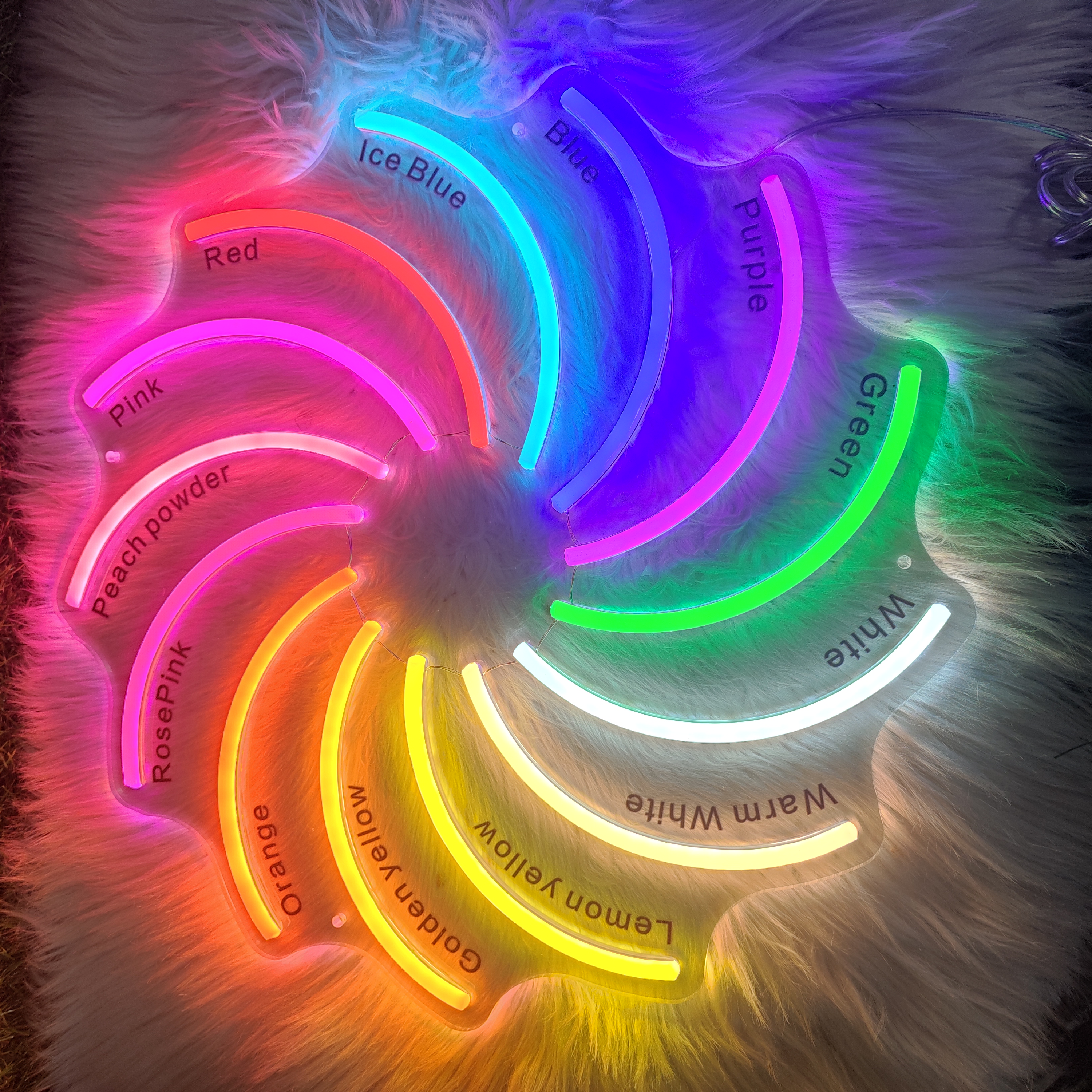 Custom Stadium LED Neon Light