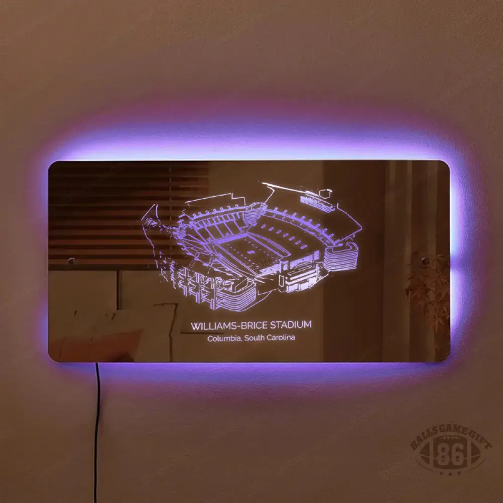 Williams-Brice Stadium Mirror Light-Gifts For Sports Lovers