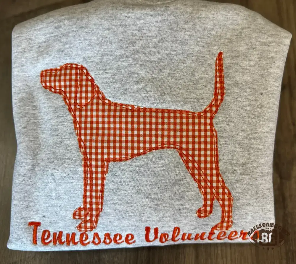 Personalized Appliqué Embroidered T-shirt Sweatshirt Crewneck, Game Day Pullover, Vintage College Style