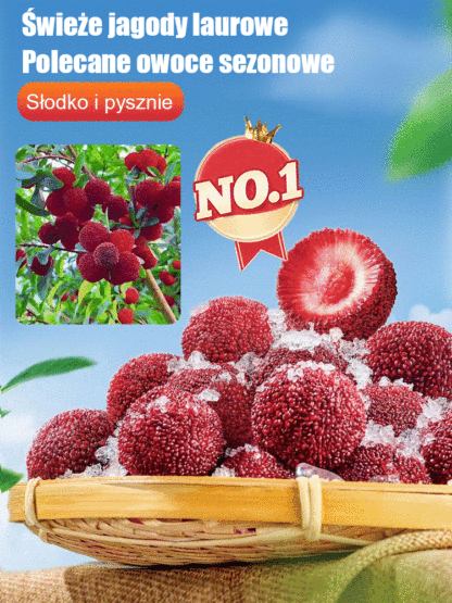 Domowy ogród sadzenie nasion śliwki Dongkui