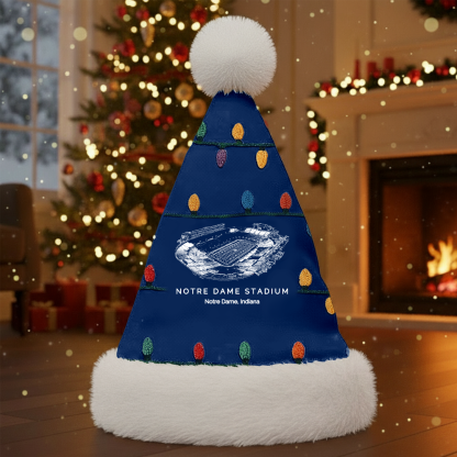 Custom Stadium Santa Hat, A Perfect Christmas Gift For Family - Limited Edition