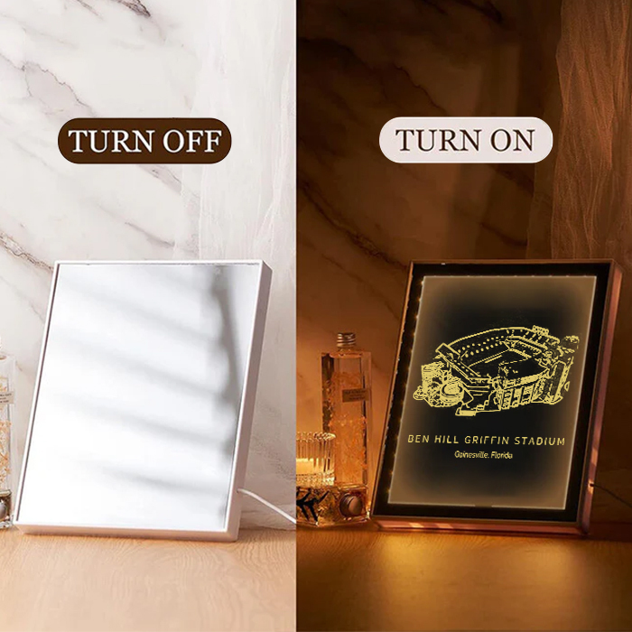 Ben Hill Griffin Stadium Art Frame LED Mirror Light