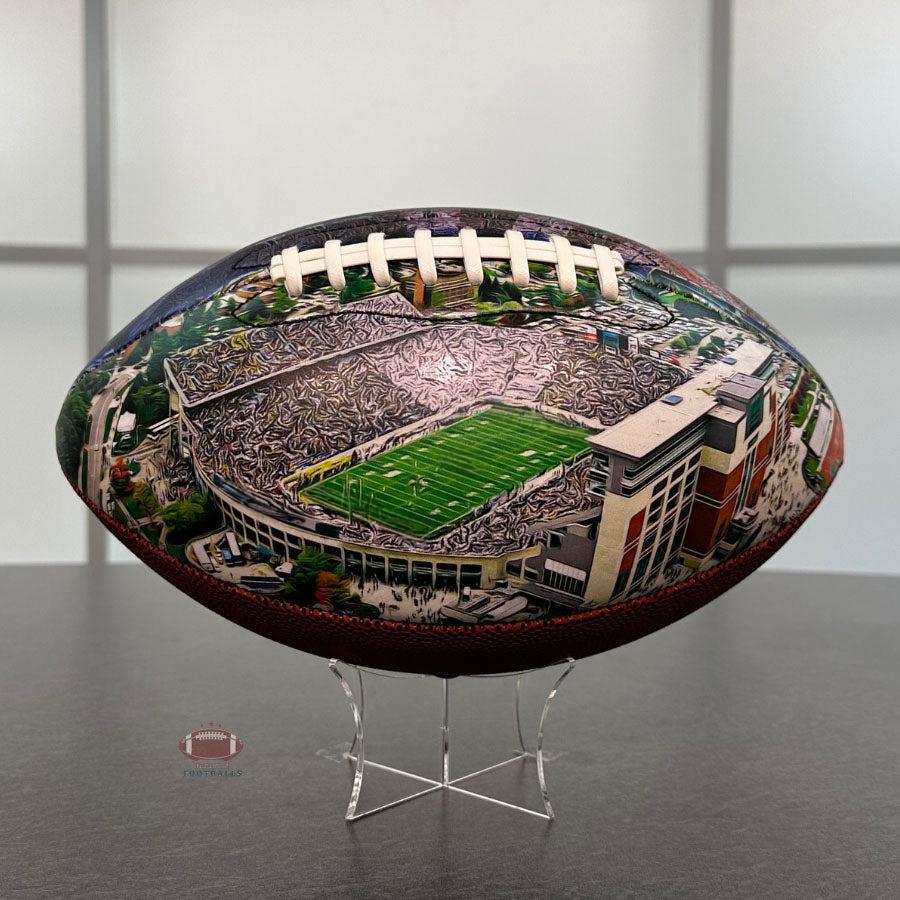 Spartan Stadium Football University Series