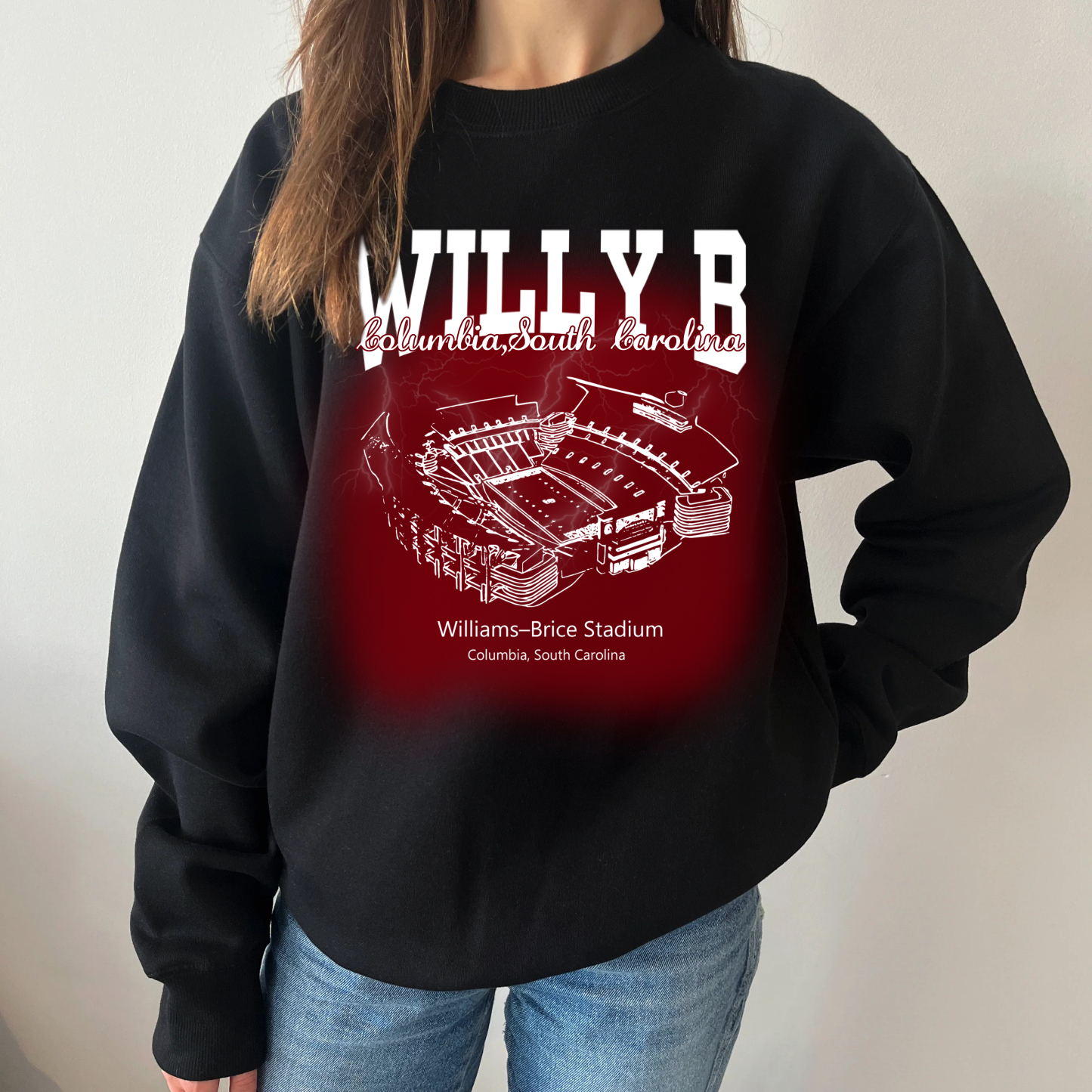 Retro Williams-Brice Stadium Printing Unisex Crewneck Hoodie