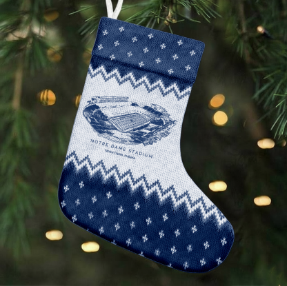 Customized Notre Dame Stadium Christmas Stocking Gift For Family Member - Limited Edition