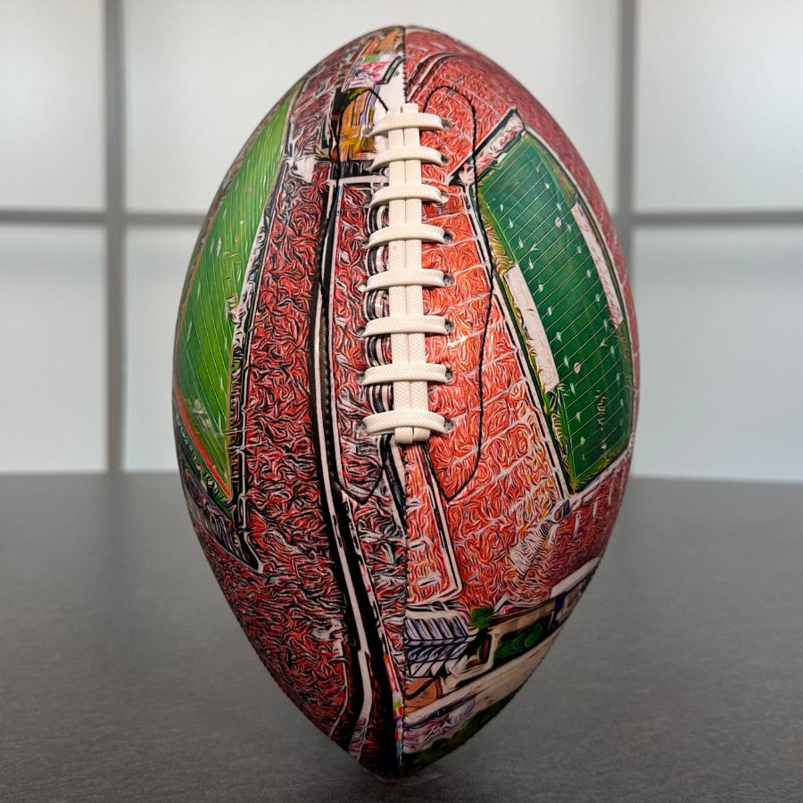 Sanford Stadium Football University Series