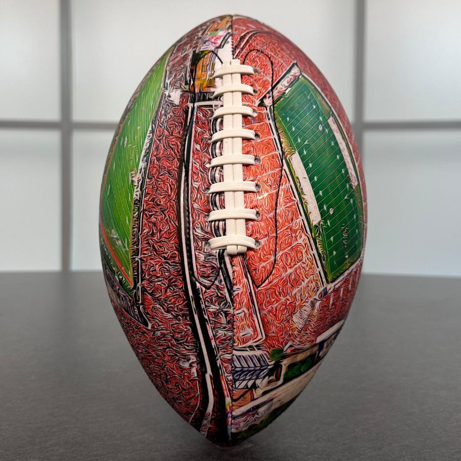 Sanford Stadium Football University Series