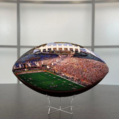 Texas Memorial Stadium Football University Series