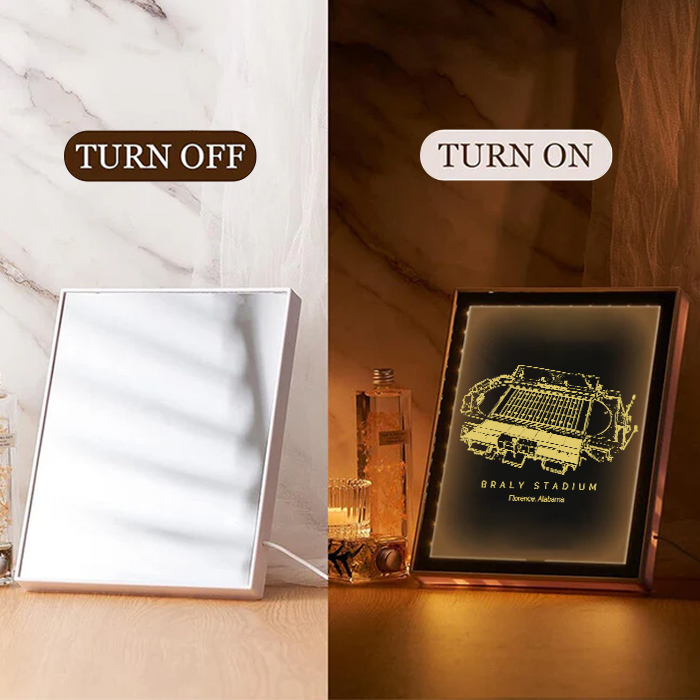 Braly Stadium Art Frame LED Mirror Light