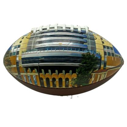 Neyland Stadium Football University Series