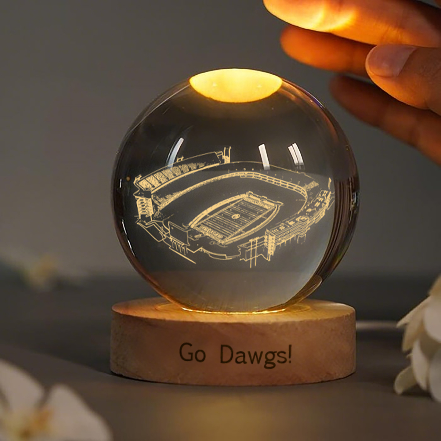 Sanford Stadium 3D Spherical Crystal Lamp